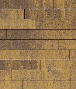 Тротуарная плитка ПРЯМОУГОЛЬНИК Листопад гладкий Янтарь В.11.П.10 Выбор 100 мм