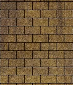 Тротуарная плитка ПРЯМОУГОЛЬНИК 200х100 Листопад гранит Янтарь Б.2.П.6 Выбор 60 мм