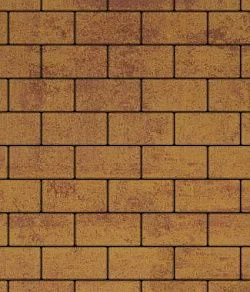 Тротуарная плитка ПРЯМОУГОЛЬНИК 240х120 Листопад гладкий Каир Б.3.П.6 Выбор 60 мм