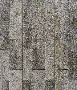 Тротуарная плитка ПАРКЕТ Искусственный камень Габбро Б.9.Псм.8 Выбор 80 мм