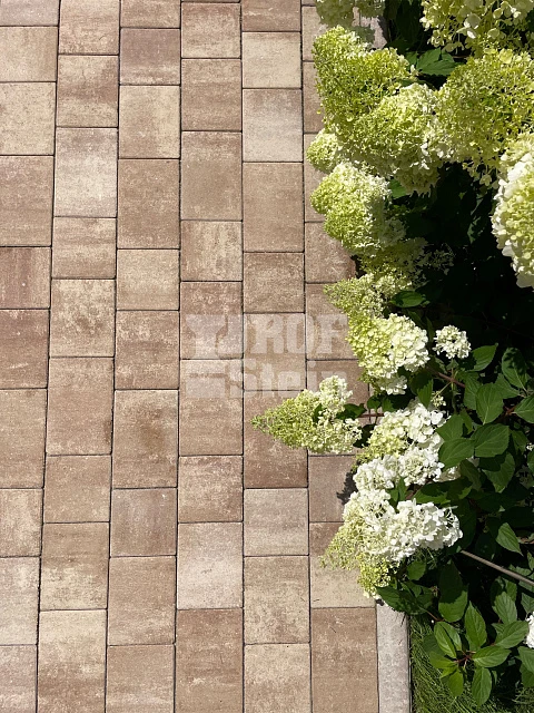 Укладка тротуарной плитки от Steingot в цвете Травертин