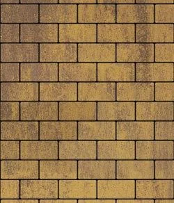 Тротуарная плитка ПРЯМОУГОЛЬНИК 200х100 Листопад гладкий Янтарь Б.2.П.6 Выбор 60 мм