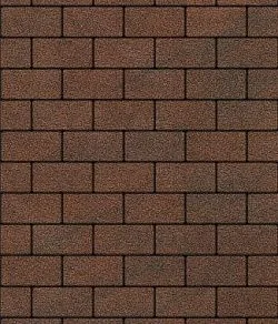 Тротуарная плитка ПРЯМОУГОЛЬНИК 200х100 Листопад гладкий Клинкер Б.2.П.6 Выбор 60 мм