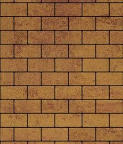 Тротуарная плитка ПРЯМОУГОЛЬНИК 200х100 Листопад гладкий Каир Б.2.П.6 Выбор 60 мм