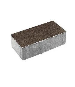 Тротуарная плитка ПРЯМОУГОЛЬНИК 200х100 Листопад гранит Хаски Б.2.П.6 Выбор 60 мм