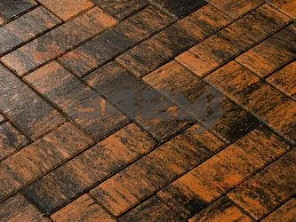 Тротуарная плитка Паркет, Сидней 342 МЗ 60 мм