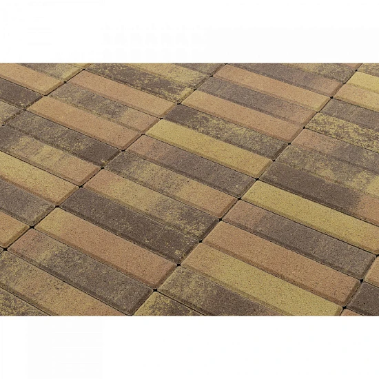Тротуарная плитка Паркет, Прайд BRAER 60 мм