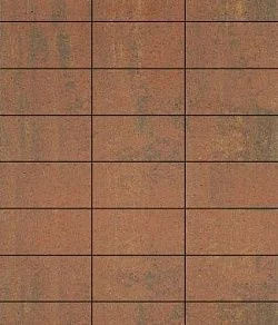 Тротуарная плитка ПРЯМОУГОЛЬНИК 300х150 Листопад гладкий Арабская ночь Б.10.П.8 Выбор 80 мм