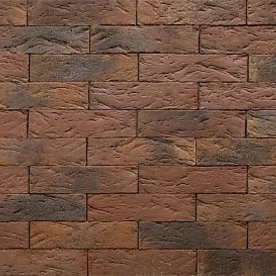 Кирпич облицовочный BRAER PRO 55.08.1 одинарный 1 NF