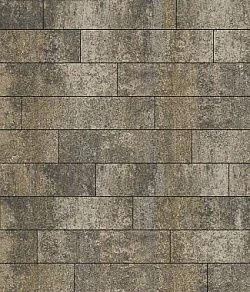 Тротуарная плитка ПРЯМОУГОЛЬНИК Искусственный камень Базальт В.11.П.10 Выбор 100 мм