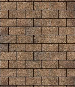 Тротуарная плитка ПРЯМОУГОЛЬНИК 200х100 Листопад гранит Клен Б.2.П.6 Выбор 60 мм