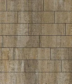 Тротуарная плитка ПРЯМОУГОЛЬНИК 750х250 Искусственный камень Доломит Б.12.П.8 Выбор 80 мм