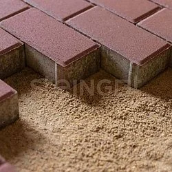 Брусчатка Прямоугольник 200*100 Темно-Красный (верхний прокрас) Steingot 60 мм