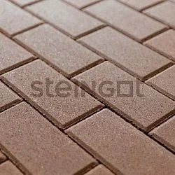 Тротуарная плитка Прямоугольник 200*100 Коричневый (верхний прокрас) Steingot 60 мм