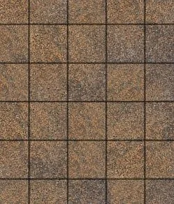 Тротуарная плитка КВАДРАТ 200х200 Листопад гранит Клен Б.2.К.6 Выбор 60 мм