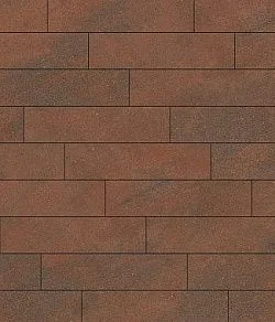 Тротуарная плитка ПРЯМОУГОЛЬНИК Листопад гладкий Клинкер В.11.П.10 Выбор 100 мм