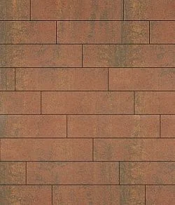 Тротуарная плитка ПРЯМОУГОЛЬНИК Листопад гладкий Арабская ночь В.11.П.10 Выбор 100 мм