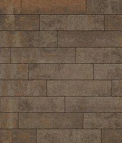 Тротуарная плитка ПРЯМОУГОЛЬНИК Листопад гранит Клен В.11.П.10 Выбор 100 мм