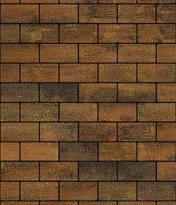 Тротуарная плитка ПРЯМОУГОЛЬНИК 200х100 Листопад гладкий Саванна Б.2.П.6 Выбор 60 мм