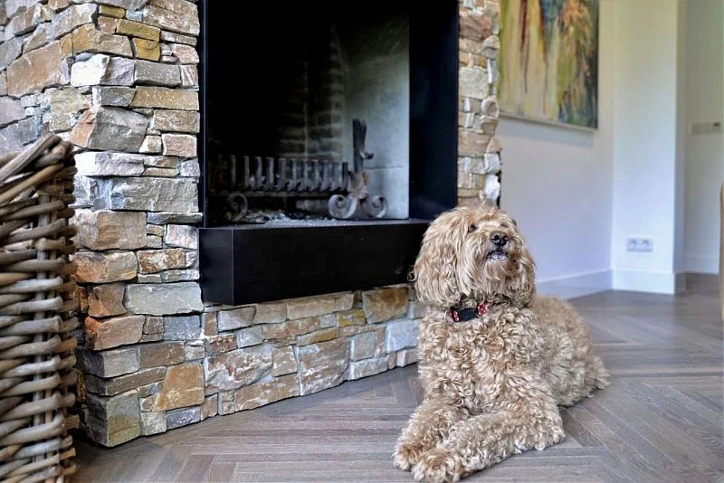 3D панель из натурального камня Кварцит Бежевый Грубый камень Pharaon