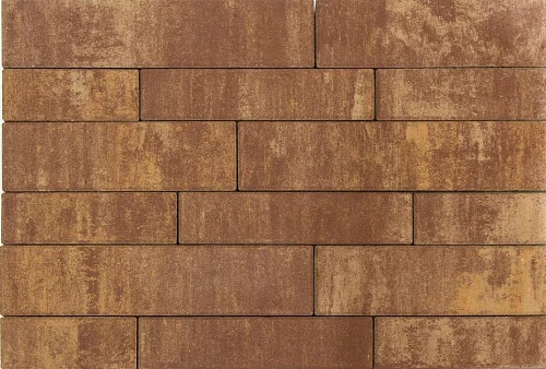 Тротуарная плитка Домино, Сафари BRAER 60 мм