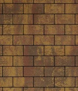 Тротуарная плитка ПРЯМОУГОЛЬНИК 240х120 Листопад гладкий Осень Б.3.П.6 Выбор 60 мм