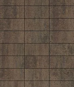 Тротуарная плитка ПРЯМОУГОЛЬНИК 300х150 Листопад гранит Шелковица Б.10.П.8 Выбор 80 мм