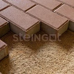 Тротуарная плитка Прямоугольник 200*100 Коричневый (верхний прокрас) Steingot 60 мм