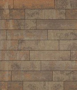 Тротуарная плитка ПРЯМОУГОЛЬНИК Листопад гладкий Клен В.11.П.10 Выбор 100 мм