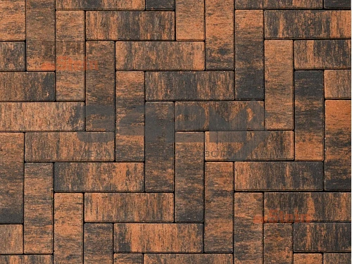 Тротуарная плитка Паркет, Гавана 342 МЗ 60 мм