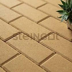 Тротуарная плитка Прямоугольник 200*100 Желтый (верхний прокрас) Steingot 60 мм