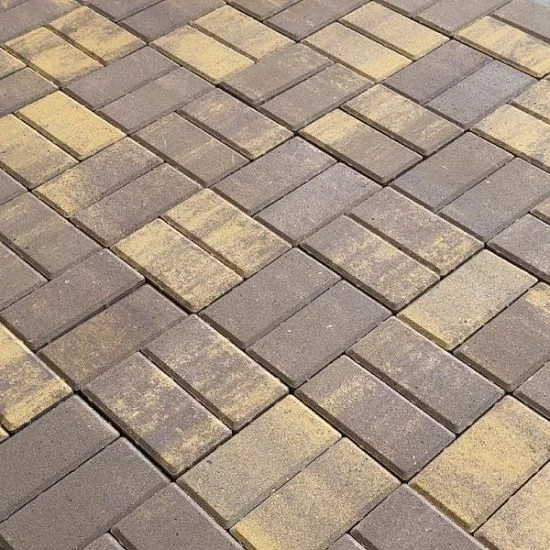 Брусчатка бетонная 2П4Ф 200*100 КОЛОРМИКС №24 Листопад Нобетек 40 мм