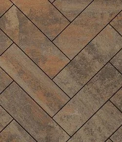 Тротуарная плитка ПРЯМОУГОЛЬНИК 600х200 Листопад гладкий Клен Б.6.П.8 Выбор 80 мм