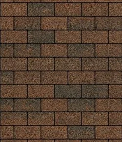 Тротуарная плитка ПРЯМОУГОЛЬНИК 200х100 Листопад гранит Мустанг Б.2.П.6 Выбор 60 мм