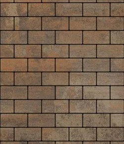 Тротуарная плитка ПРЯМОУГОЛЬНИК 200х100 Листопад гладкий Клен Б.2.П.6 Выбор 60 мм