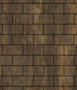 Тротуарная плитка ПРЯМОУГОЛЬНИК 240х120 Листопад гладкий Мокко Б.3.П.6 Выбор 60 мм