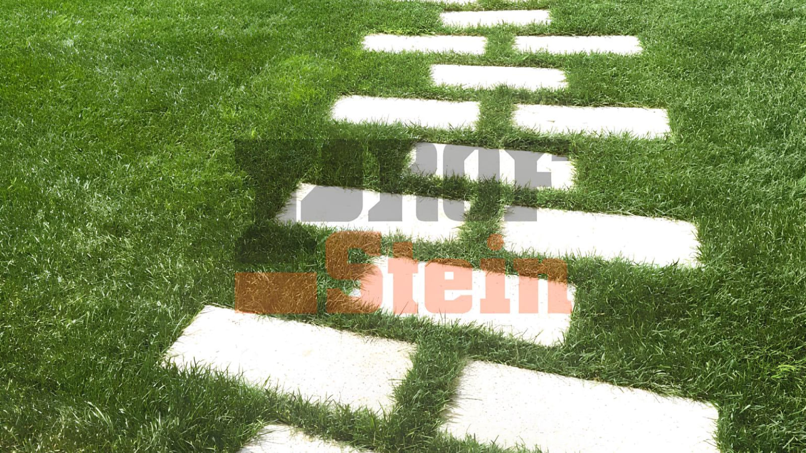 Пример пошаговой дорожки из реализованного проекта Профштейн