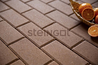 Тротуарная плитка Прямоугольник 200*100 Желтый (верхний прокрас) Steingot 60 мм