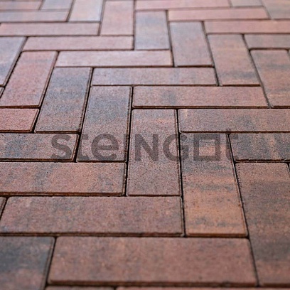 Тротуарная плитка Паркет Клинкер Steingot 60 мм