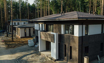 Кирпич ручной формовки Абрамцево WDF 215x50x65