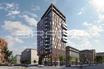 Кирпич облицовочный BRAER PRO 78.09 одинарный 1 NF