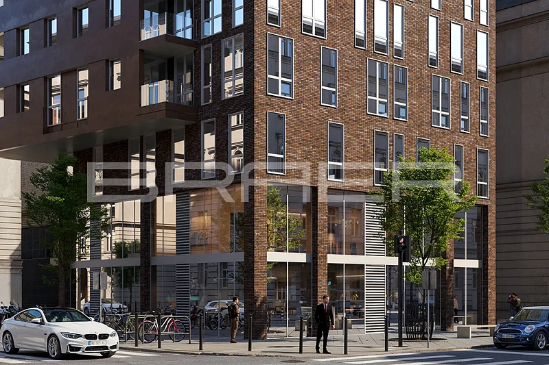 Кирпич облицовочный BRAER PRO 78.09 одинарный 1 NF