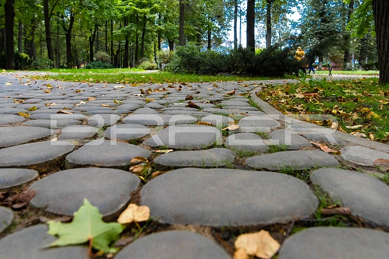 Газонная решетка Грин Галет, Серый BRAER 80 мм