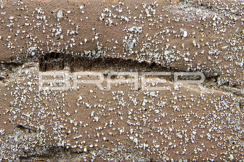 Кирпич облицовочный баварская кладка одинарный 1 NF кора дуба с песком М-150 Браер