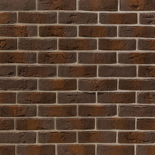 Дижон 786