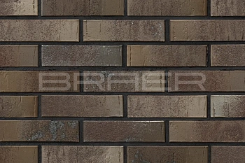 Кирпич облицовочный BRAER PRO 78.09 одинарный 1 NF