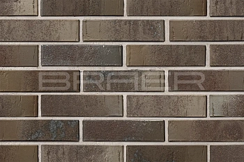 Кирпич облицовочный BRAER PRO 78.09 одинарный 1 NF