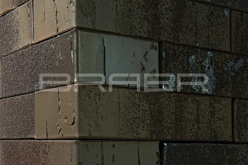 Кирпич облицовочный BRAER PRO 78.09 одинарный 1 NF