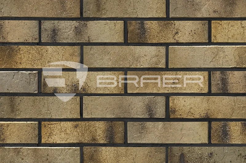Кирпич облицовочный BRAER PRO 3.03 одинарный 1 NF