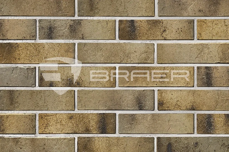 Кирпич облицовочный BRAER PRO 3.03 одинарный 1 NF